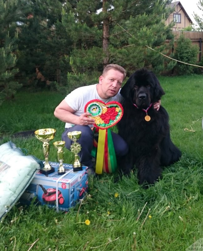 Фотография № 183137