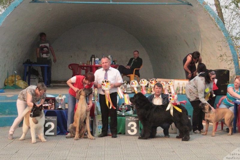 Фотография № 183141