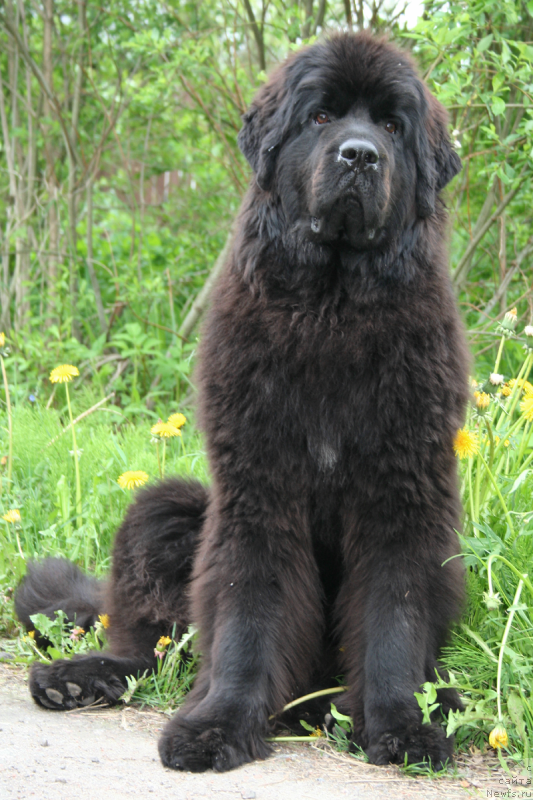 Фотография № 183153