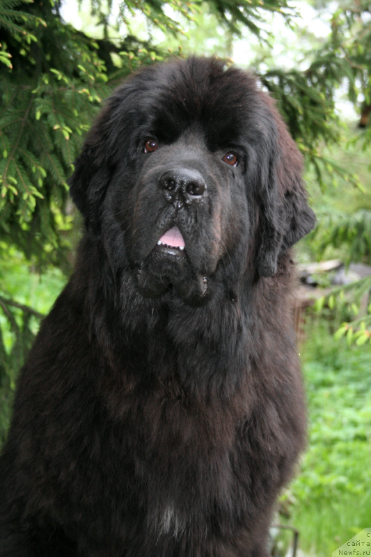 Фотография № 183155