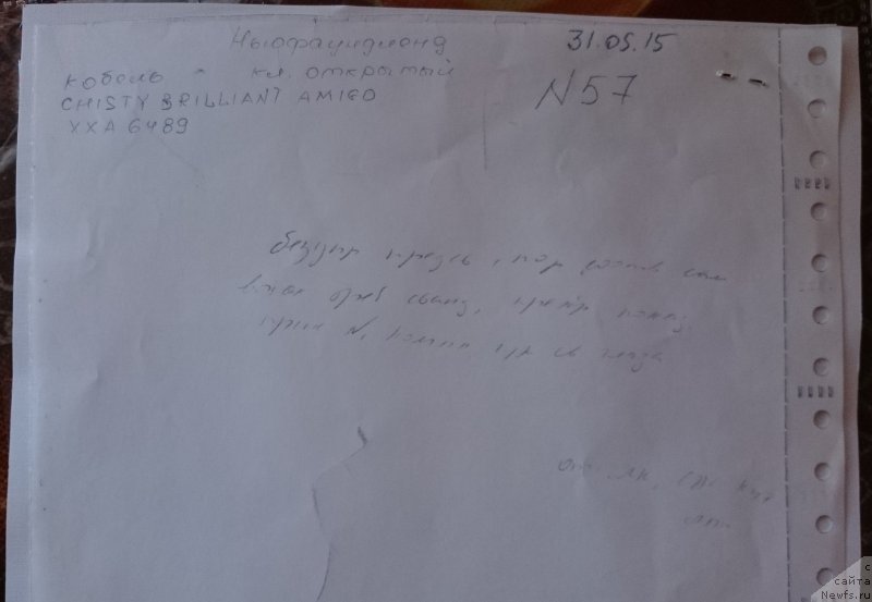 Фотография № 183165