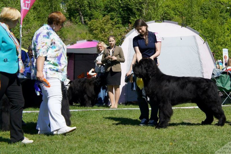 Фотография № 183167