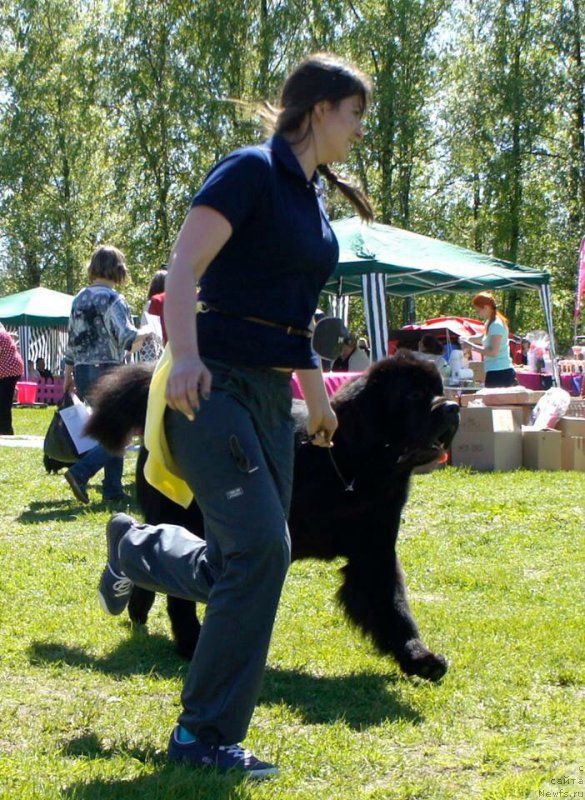 Фотография № 183170