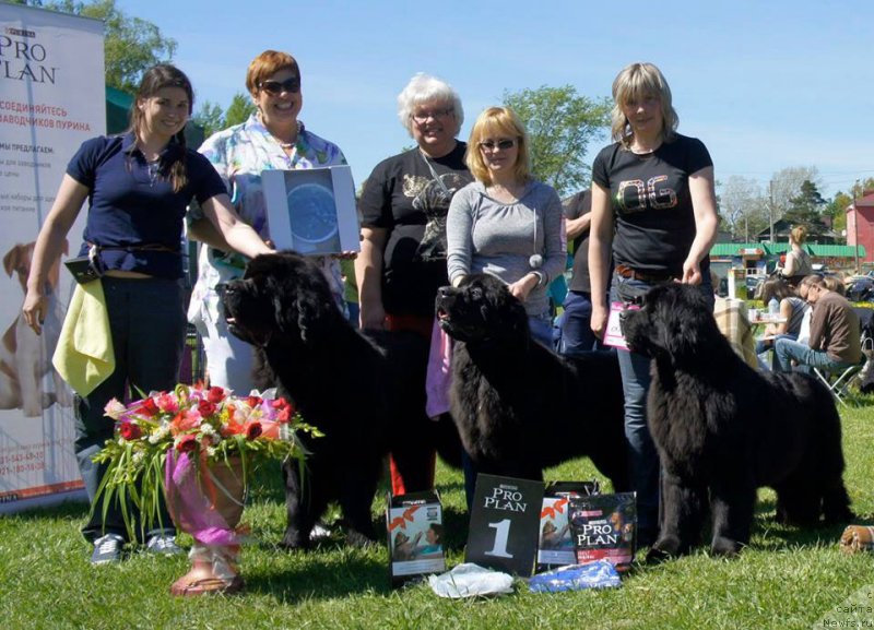 Фотография № 183179