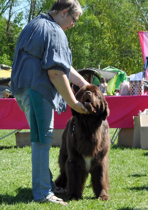 Фотография № 183195