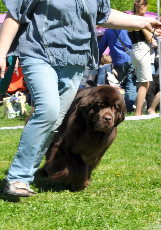 Фотография № 183197