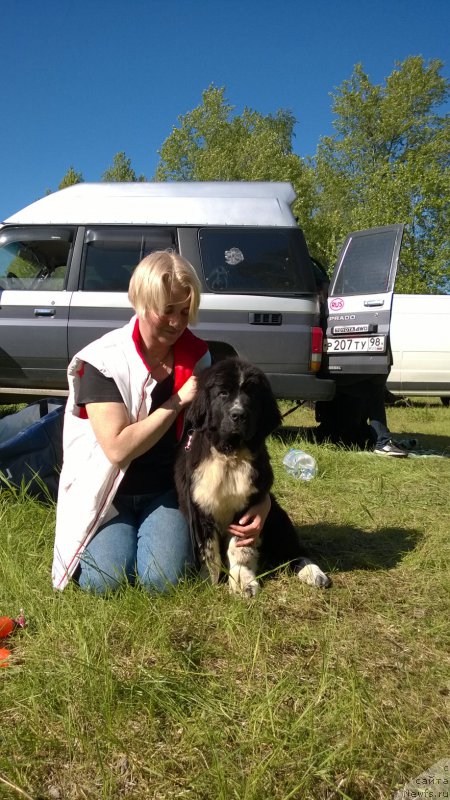 Фото: Акватория Келвин Домино и, Ol'ga Braslavskaya (Ольга Браславская)