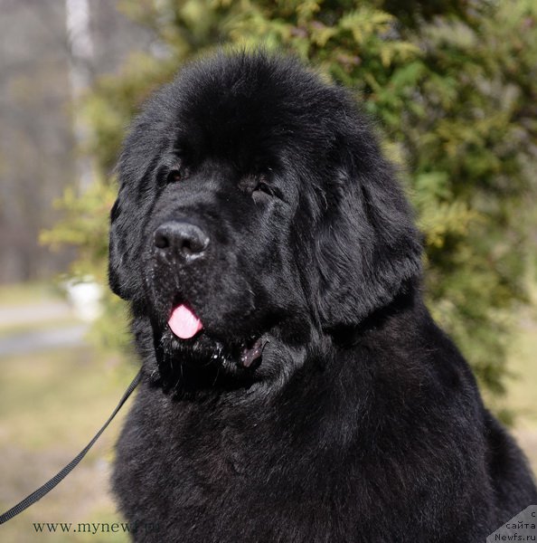 Фотография № 183222