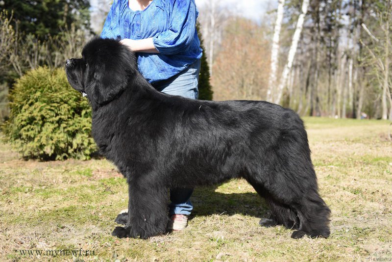 Фотография № 183223