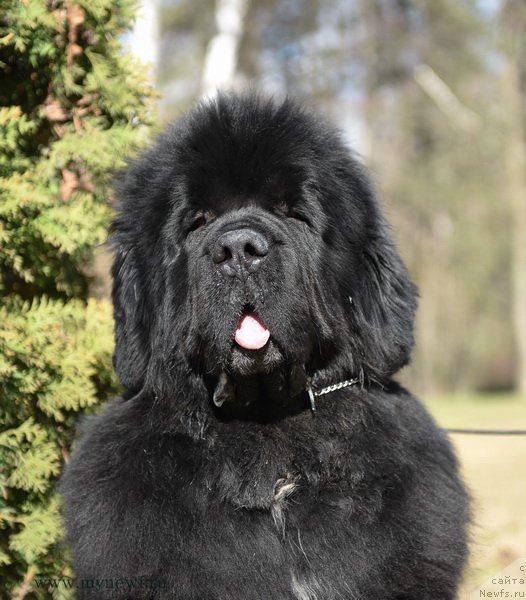 Фотография № 183227