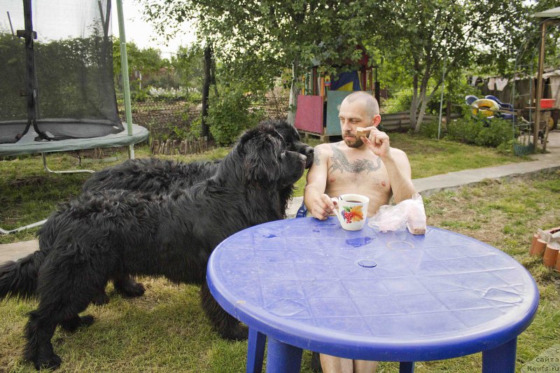 Фотография № 183257