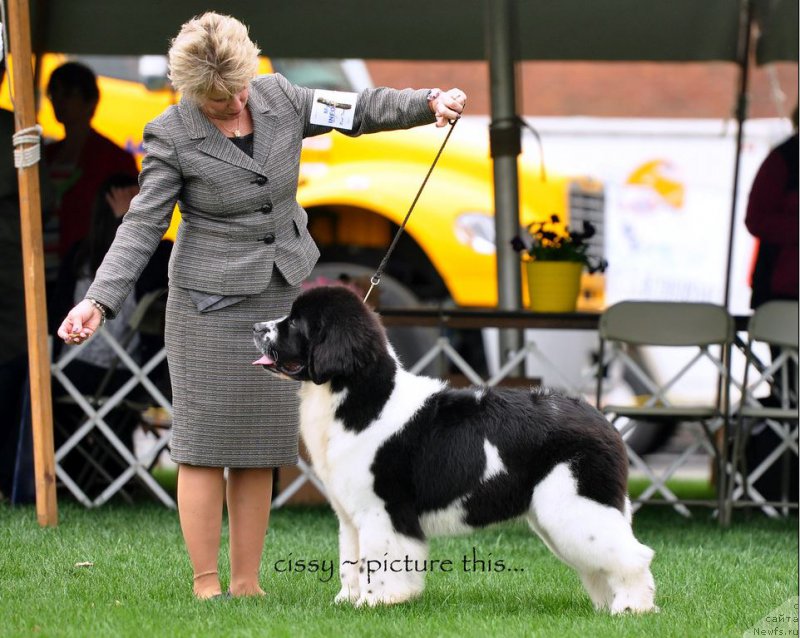 Фотография № 183341