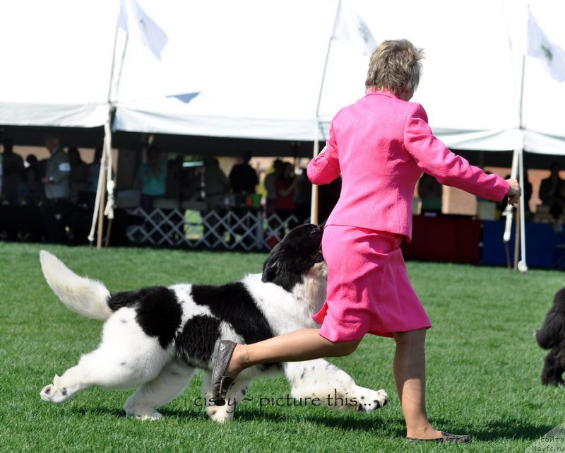 Фотография № 183342