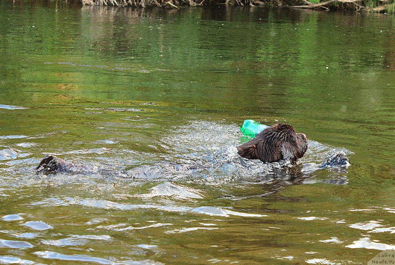 Фотография № 183369