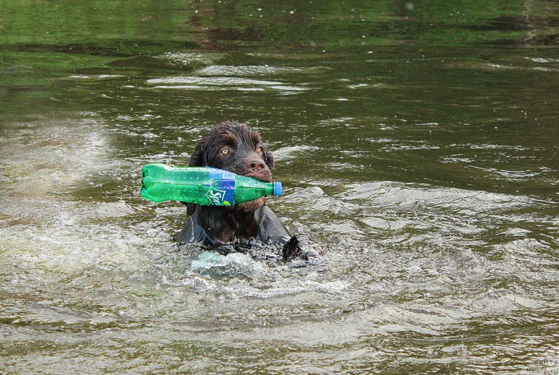 Фотография № 183370