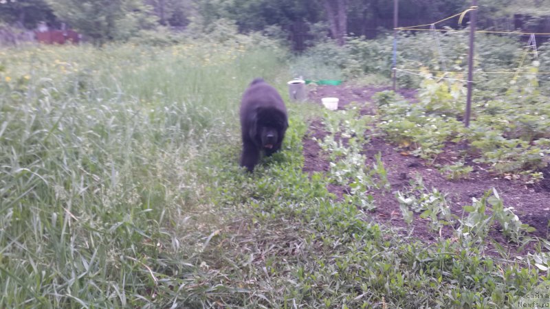 Фотография № 183381