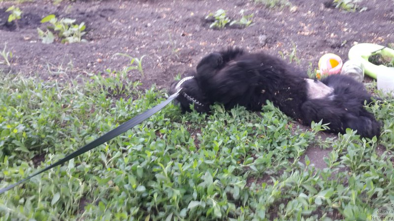 Фотография № 183384