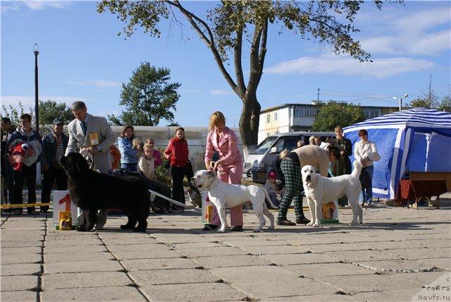 Фотография № 18340