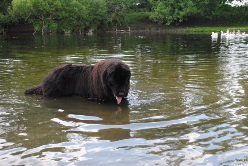 Фотография № 183416