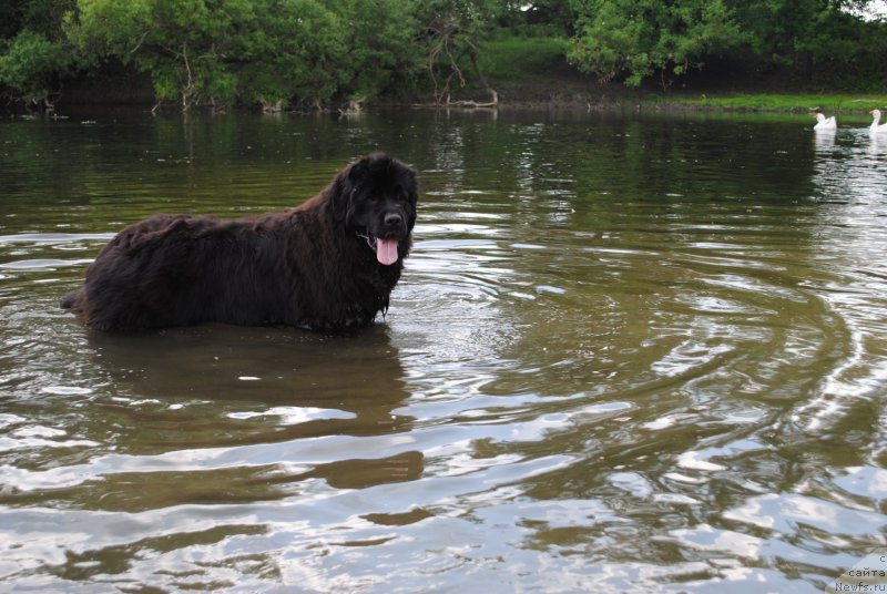 Фотография № 183417