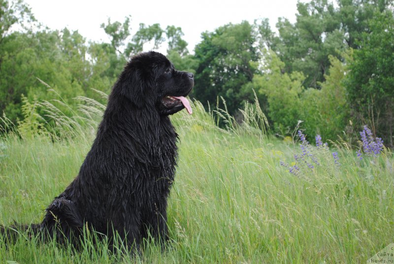 Фотография № 183418