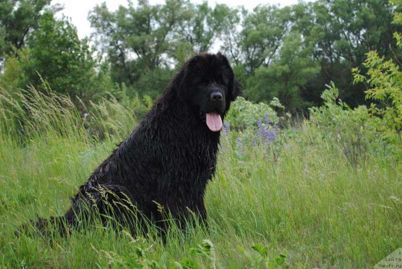 Фотография № 183419