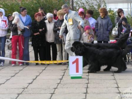 Фото: Пони и Чанси