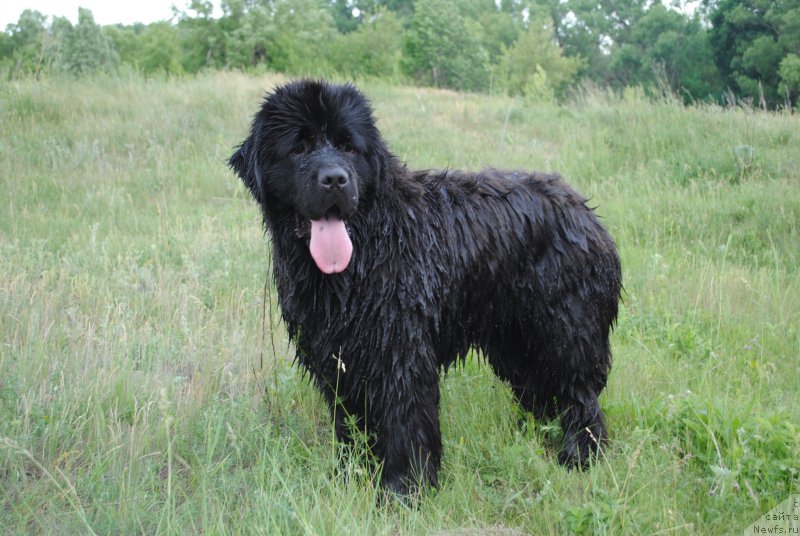 Фотография № 183421