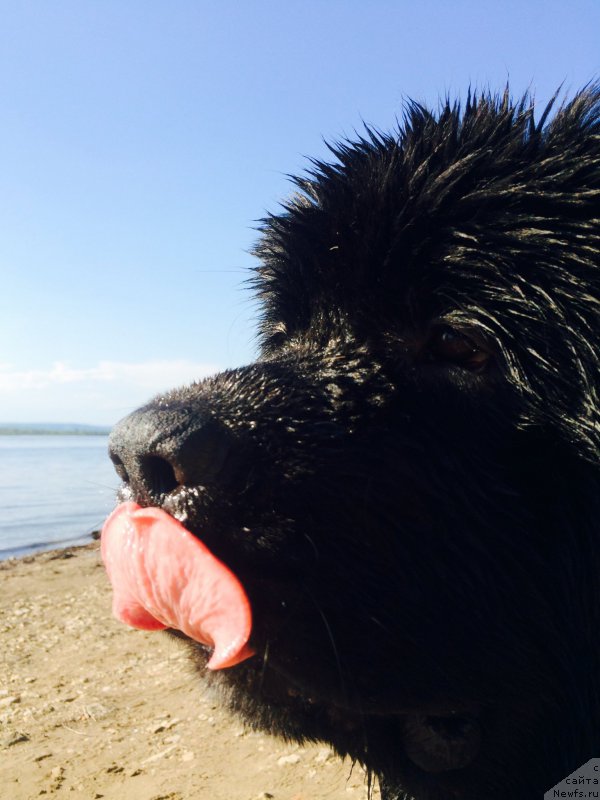 Фотография № 183428