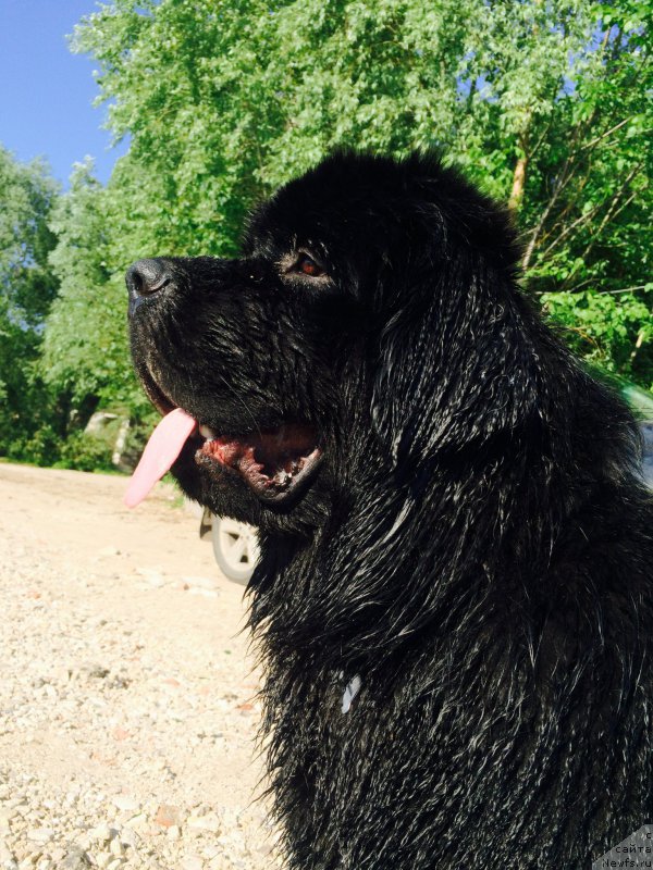 Фотография № 183429