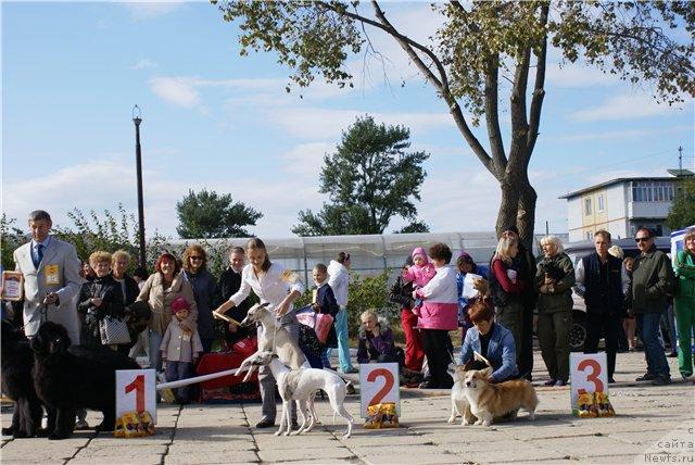 Фотография № 18343