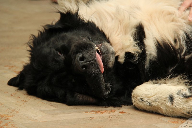 Фотография № 183449