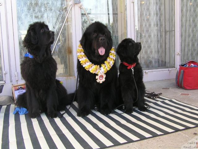 Фотография № 18346