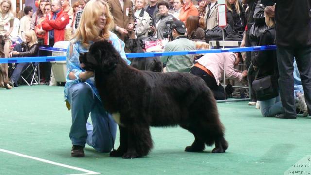 Фотография № 18348