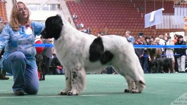 Фотография № 18349