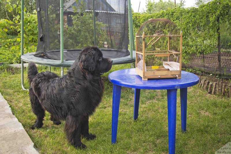 Фотография № 183495