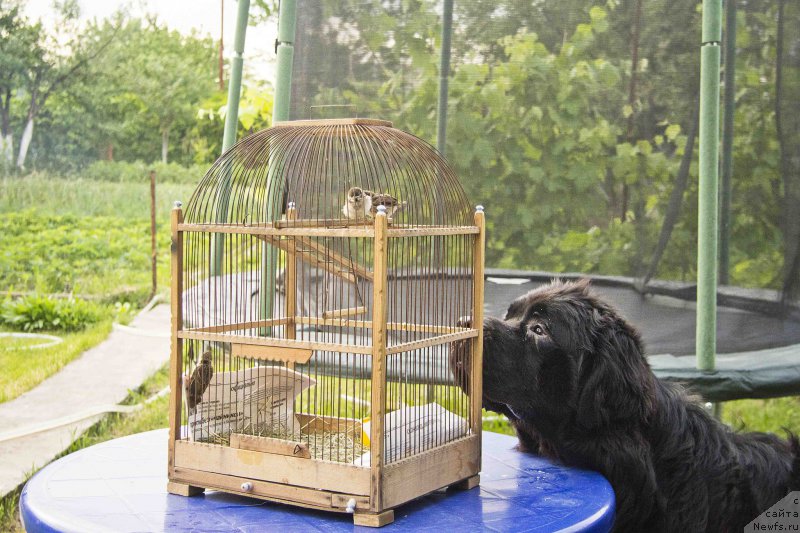 Фотография № 183511