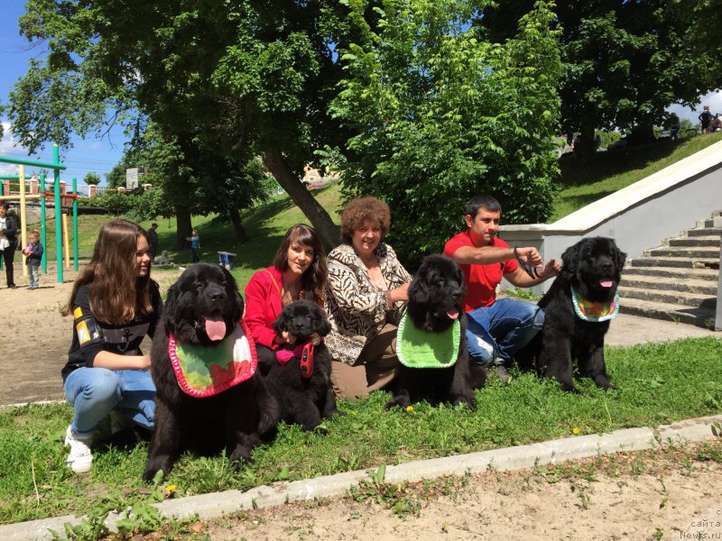 Фотография № 183513