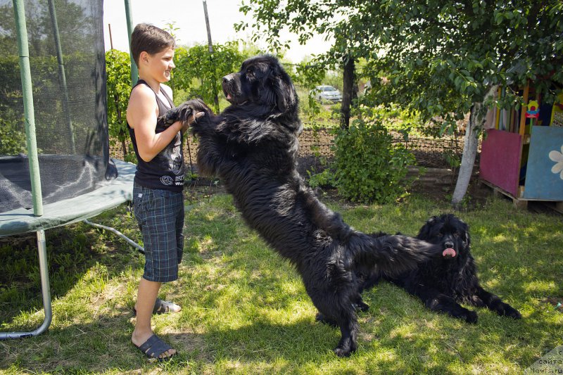 Фотография № 183514