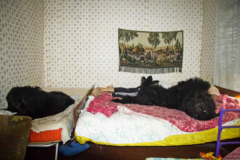 Фотография № 183518