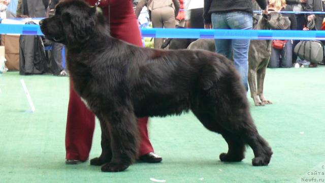 Фотография № 18353