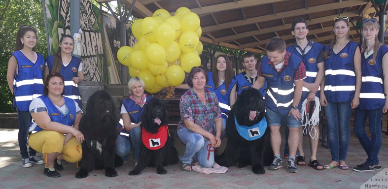 Фотография № 183560