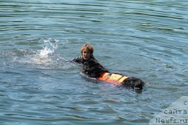 Фотография № 183564