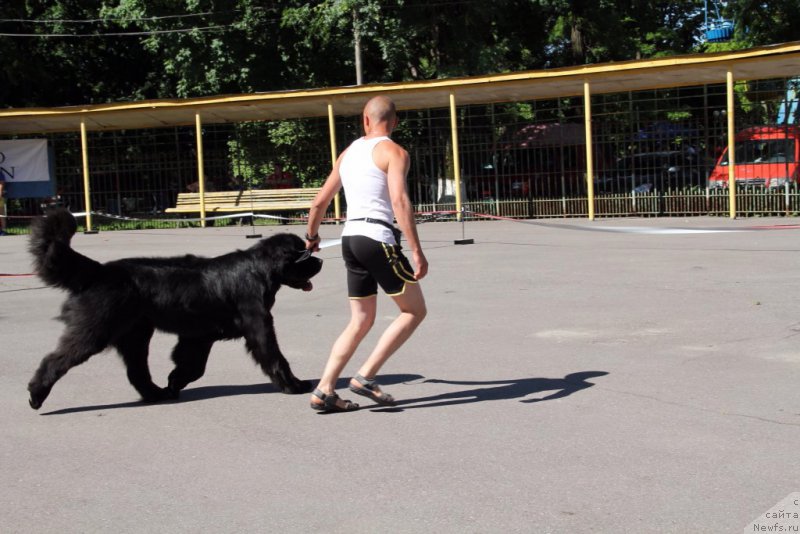 Фотография № 183567