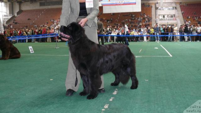 Фотография № 18357