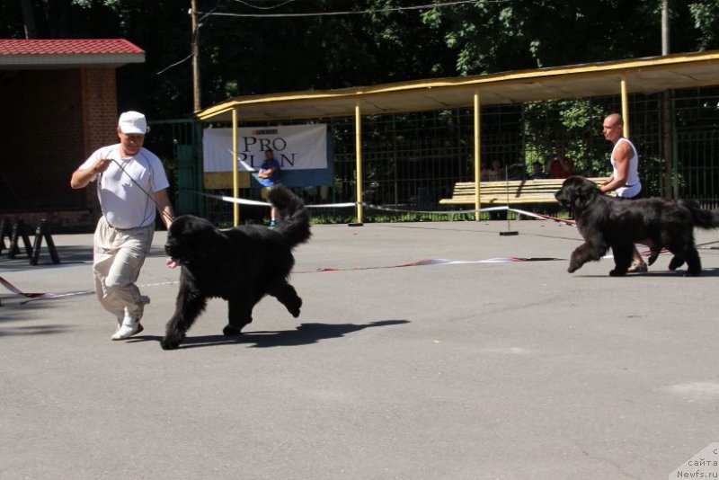 Фотография № 183570