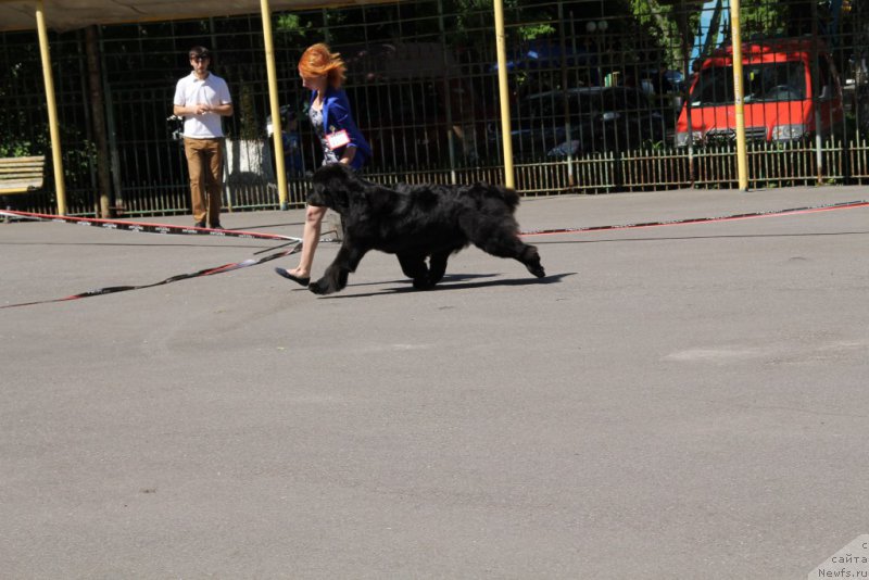 Фотография № 183574