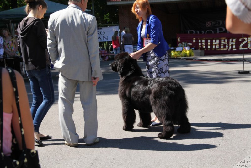 Фотография № 183575