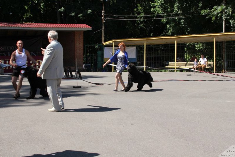 Фотография № 183576