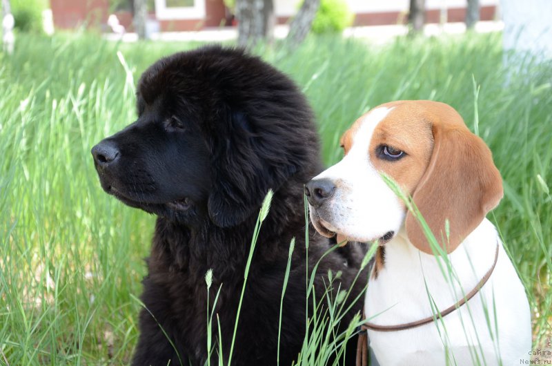 Фотография № 183609